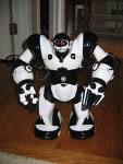 Robo - Robo in action Robo - Robo in action