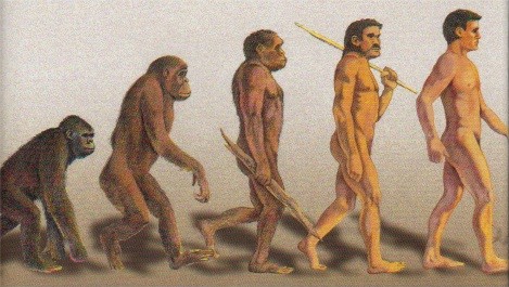 Evolution of man - A step by step evolution of ape to man