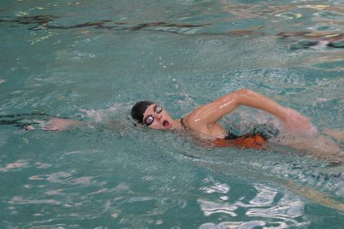swimming - swimming in the pool