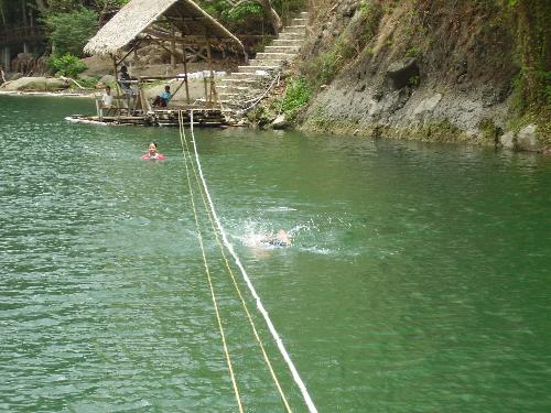 swimming - swimming in the lake
