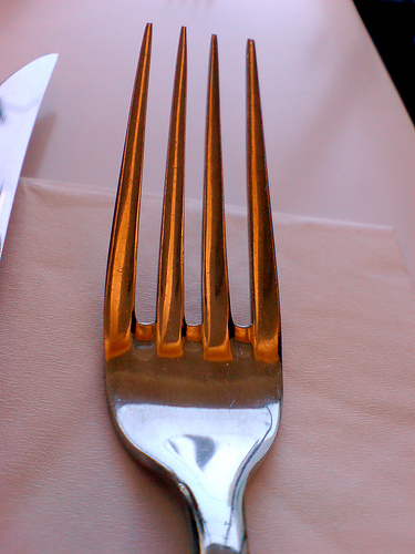 Do you like to use disposable forks, spoons, knive - A picture of a pretty metal fork. Taken from http://farm1.static.flickr.com/187/429657054_8993ef107f.jpg?v=0 .