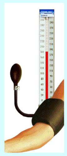 Sphygmomanometer - A sphygmomanometer is used to monitor our blood pressure.