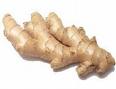 Ginger Root - Wonderful taste but I need help in knowing how to properly store and cook with this herb root.