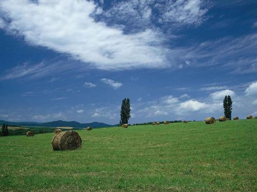 greenery - What a beautiful and lovely scenery.