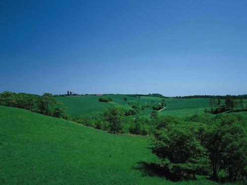 greenery - What a lovely green patch on the mother earth!!!!!!