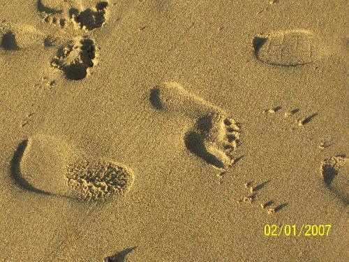 Footprints in the sand - My wife is quite capable with camera in hand! Pic of our footprints on the beach.
