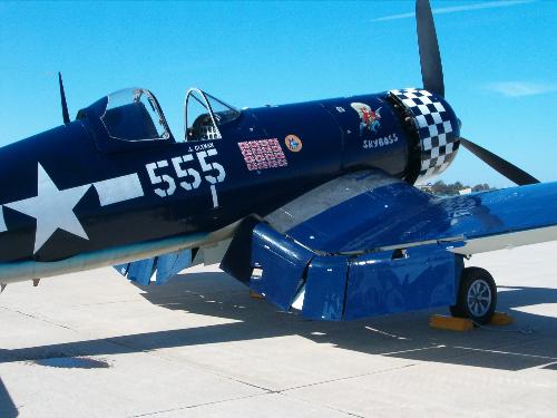 war bird - This is a corsair war bird from the 1940's