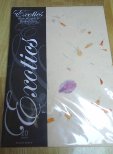 Some fine parchment - Having a really lovely parchment to write on can be both elegant and inspiring.