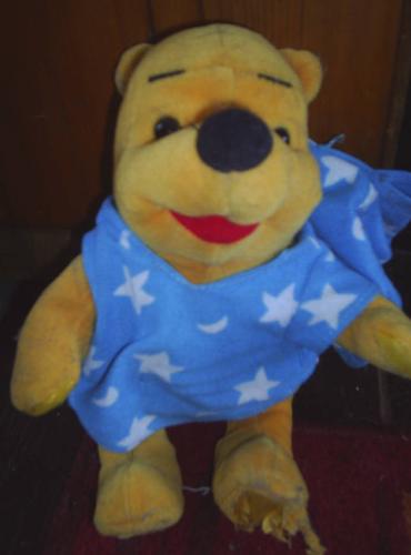 Here is Pooh - This is another of our stuffed Winnie the Poohs. He is a delightful chap and a household hero.