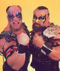 the best tag team of the wwe history - the animal and hulk