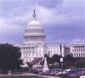 Washington D.C. -  A nice historical place to visit
