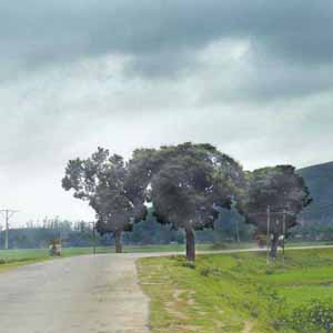 advent of monsoon - An overcast sky signalling the advent of monsoon.