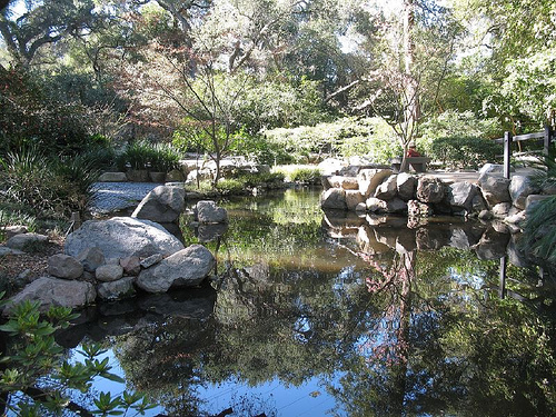 Beauty of Naural - Our natural beauty is getting down, jungles are destroying in all over the world.