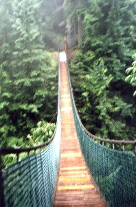 Lions gate Bridge as Respensitive of the Fictional - Lionsgate Bridge in Lynn Valley Park, North and West Vancouver,B.C representing the start of one's fictional writing career and its progress. Lionsgate Bridge is a swinging bridge.