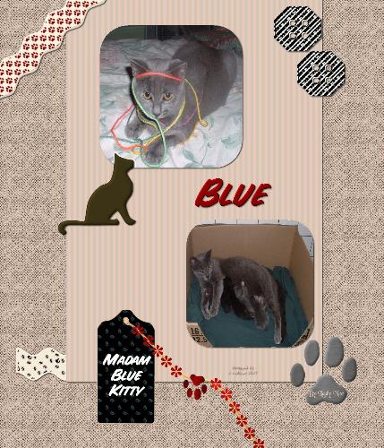 Our cat, Blue - Scrapbooking page of our cat Blue who is a Russian Blue mix.