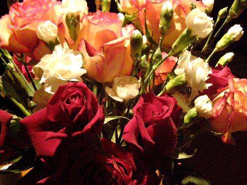 Valentine's Day Rose Bouquet - The beautiful bouquet my husband gave me on Valentine's Day this year. There were two dozen roses with carnations instead of the usual baby's breath. I spent a good week and a half photographing these blooms!