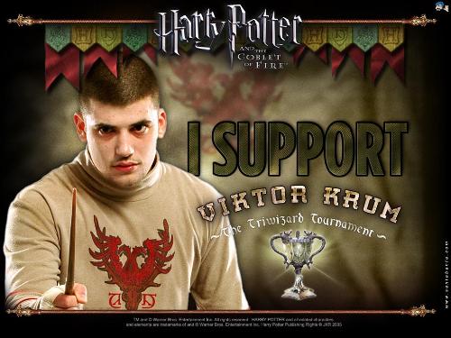 Stanislav Lanevski - Stanislav Lanevski aka Victor Krum of Harry Potter series. This is the pic from the movie Harry Potter and the Goblet of Fire