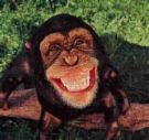 digital life - Life is more happpier when you smile. One smile can open the world in more positive perspectives. Go and share you smiles to the one who really needs it.