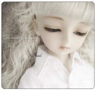 sd05 - very beautiful