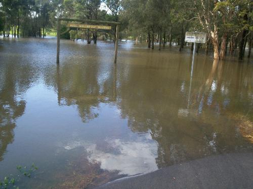 park with duck pond - you can usually walk through this park and feed the ducks at the pond