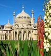 Brighton Pavilion with Flowers in Foreground - The Royal Pavilion Brighton with flowers in the foreground, depicting the gardens.