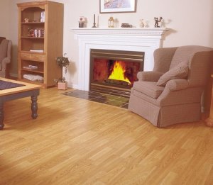 laminate flooring for your home - laminate flooring, less expensive than real hardwood floors and still looks nice.