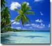beach - picture of tropical island with palm tree over water