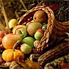 fruits  - i like fruits very much and you