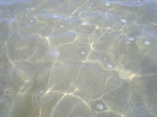 Water, the saltiest type - Salt water is very bad to drink. Salt water, is however, quite good for your skin, if you can manage to avoid the jellyfish.