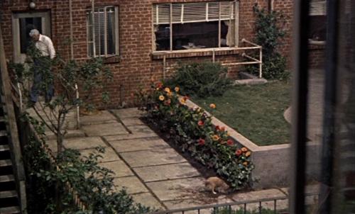 A view from the window in a scene from Rear Window - A scene from Rear Window, a classic Alfred Hitchcock film, starring James Stewart and Grace Kelly