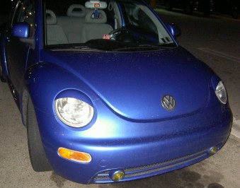 angry beetle blue - As a bug driver, bugs capture my attention. This one got angry eyes :)
