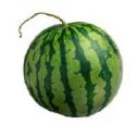 fruit - watermelon