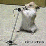 Hammie at mike - Go Hammie! Rock and Roll!