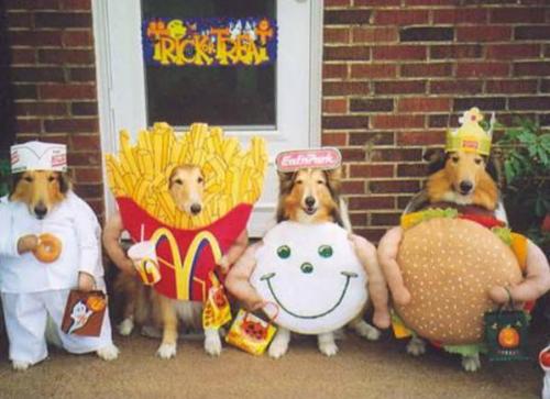 Dogs - Dogs dressed as food.