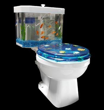 Fish Tank Toilet - The newest toilet on the market these days... 'Fish Tank Toilet'