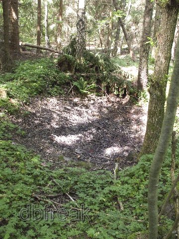 A dried out pond - Shot taken by me in 2007-06-16