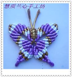 butterfly - butterfly