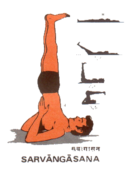 Sarvanga Asana - This is useful for the thyroid glands in the neck