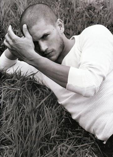 Super HOT Wentworth Miller aka Michael Scofield  - I wonder where to find someone like Michael Scofield, handsome, smart and so damn HOT!!!!