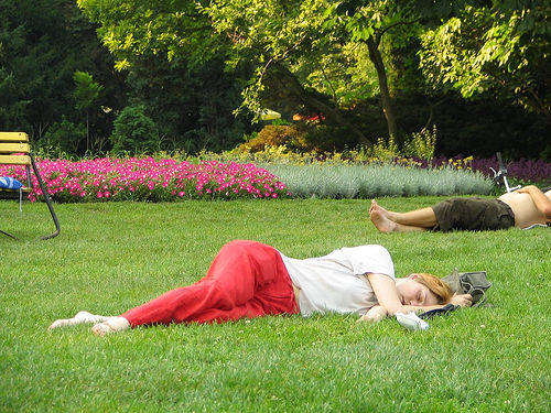 What do you need when you sleep? - A picture of people sleeping on the grass. Taken from http://farm1.static.flickr.com/23/29279033_182f6eb5ca.jpg?v=0 .