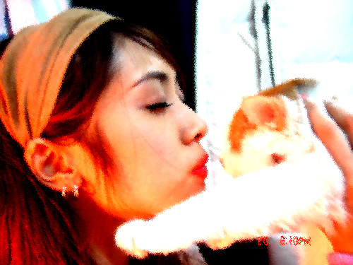 My Lovely Cat - Me & My Cat