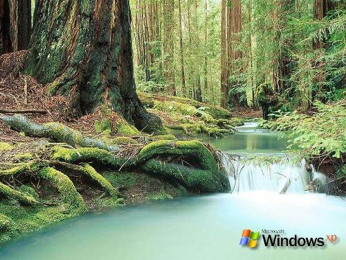 beauty of nature - this is one of the most beautyful place ever seen.........