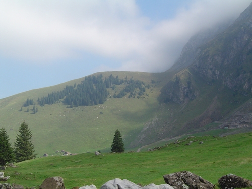 Swiss - swiss view