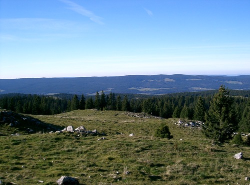 swiss - swiss view