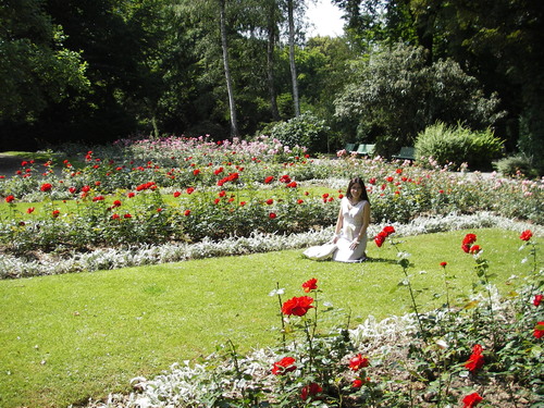 swiss - grace in switzerland
