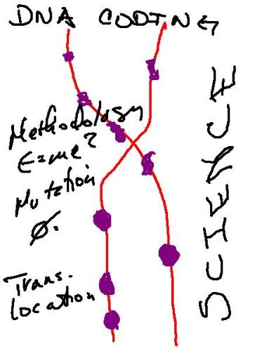 DNA strand - Here is my interpretation of a strand of DNA molecules. I made this logo with Corel Paint Essentials and my new Wacom Graphire 4 Graphics Tablet. As you can see I am still trying to get the hang of using it!