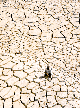 Desertation - A dry land after it was covered by water..