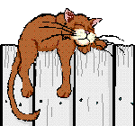 another feline friend - here's another feline friend