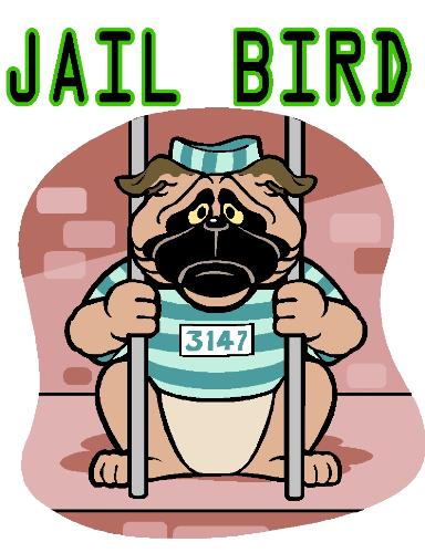 Jail Bird - Dog in a jail cell