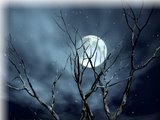 new look of moon - hows the moon?